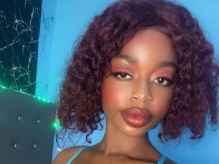 live webcam RealDemi